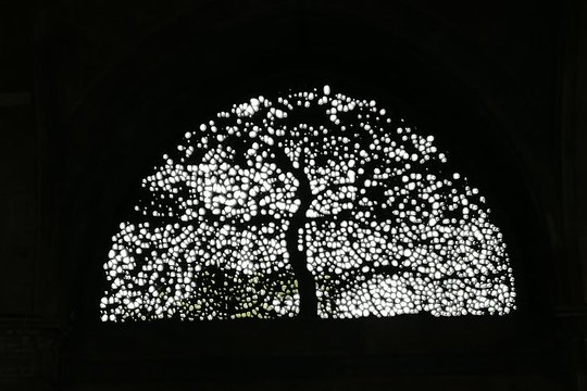 Tour image 1