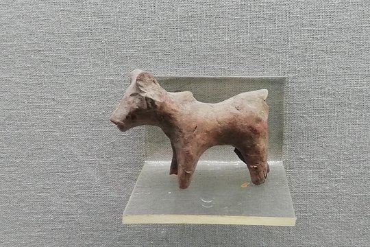 Tour image 8