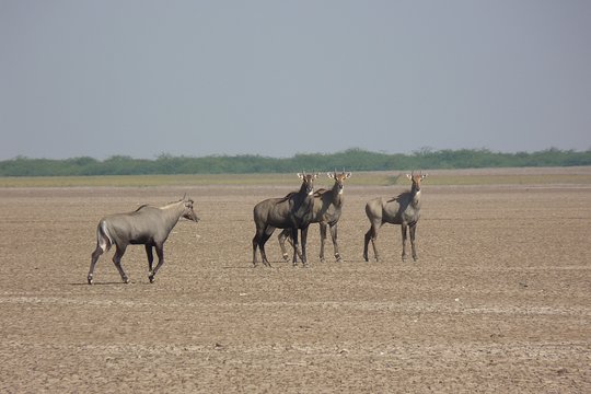 Tour image 4