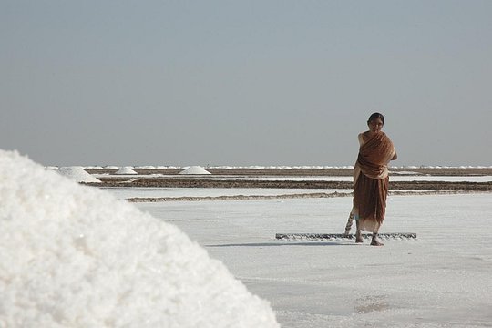 Tour image 8