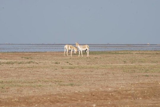 Tour image 6