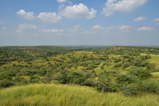 Tour image 11